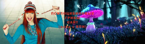 apvp Аркадак