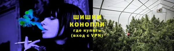 спиды Арсеньев
