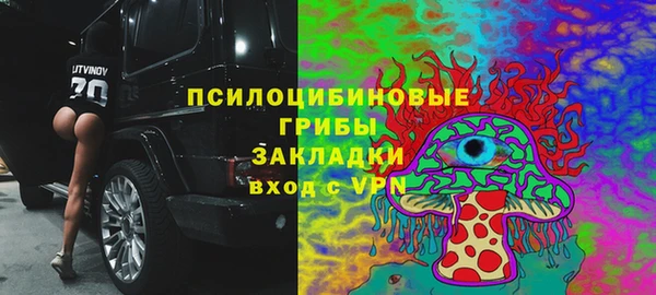 apvp Аркадак
