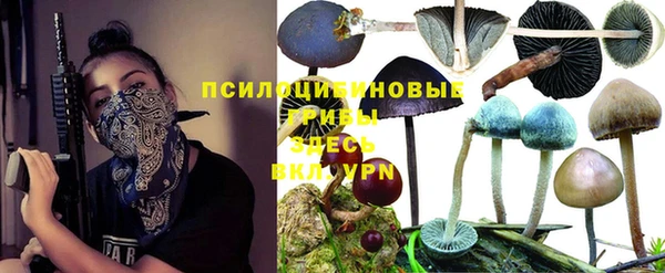 шишки Армянск