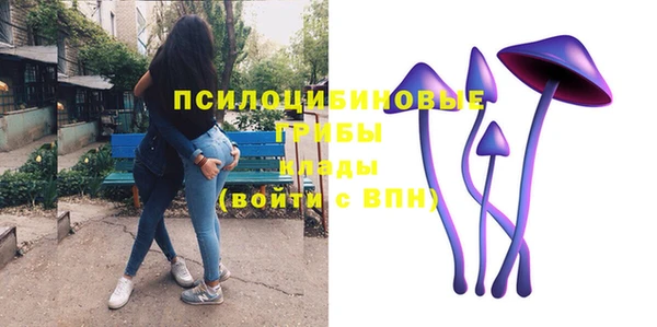 apvp Аркадак