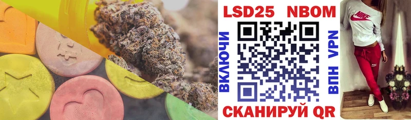 OMG как найти Гороховец Лсд 25 экстази ecstasy